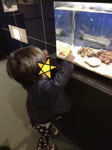 サンピアザ水族館の中を楽しんでいる子供の様子